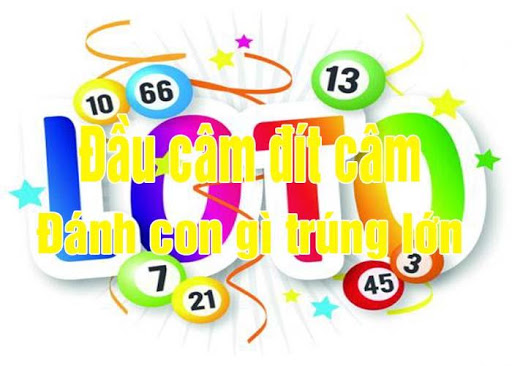 dau-cam-dit-cam đánh lô theo đầu câm